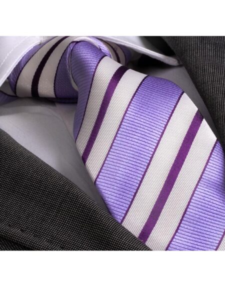 Purple Striped Tie | Men's Fashion Purple Striped Skin Tie Silk Neck Tie Gift Box - Identical - Amedeo Exclusive