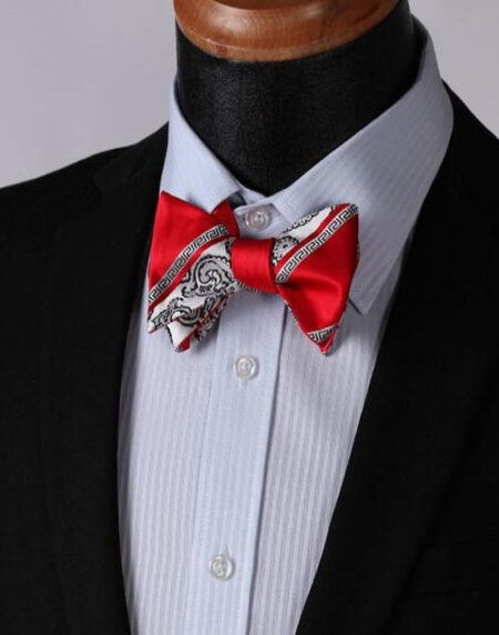 Red White Paisley Mens Silk Self tie Bow Tie with Pocket Squares Set