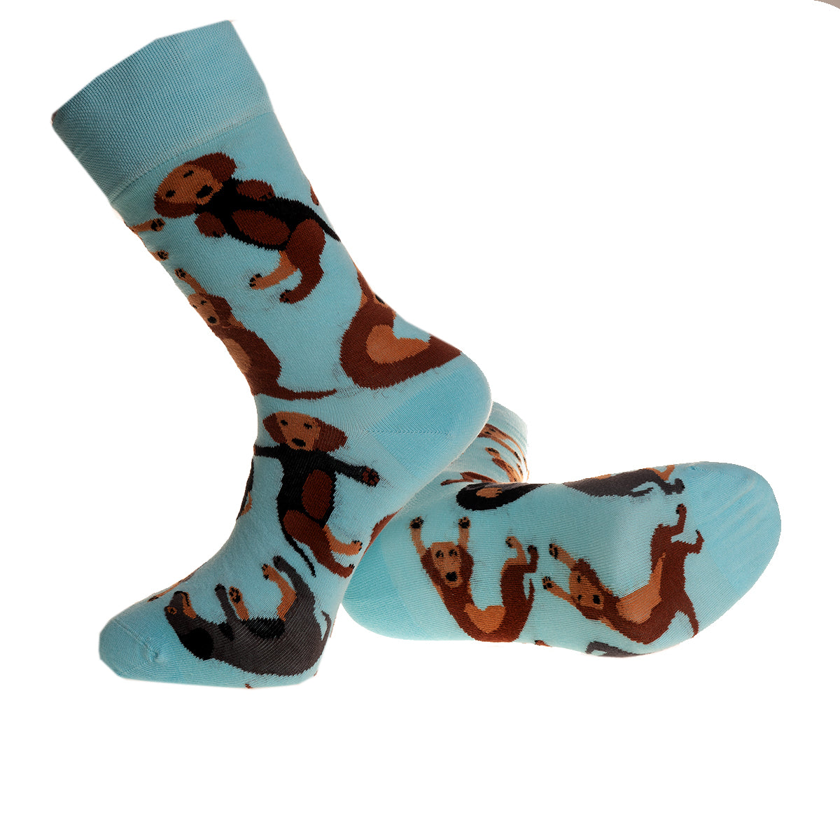 Blue Socks With Printed Dogs-European Made - Egyptian Cotton Socks - Premium Cotton Fun socks with Soft Elastic - Image 3