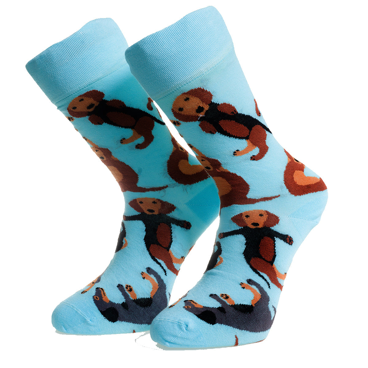 Blue Socks With Printed Dogs-European Made – Egyptian Cotton Socks – Premium Cotton Fun socks with Soft Elastic